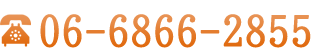 06-6866-2855